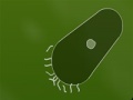 Gioco Microbe kombat