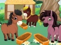 Gioco Princess' Ponies