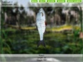 Gioco Lake Fishing 3.0