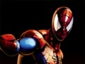 Gioco Spiderman Mega Memory