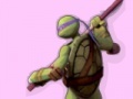 Gioco Ninja Turtles Colours Memory