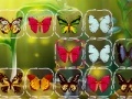 Gioco Butterfly Connect