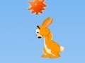 Gioco Hopi: The Jumping Rabbit