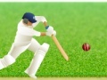 Gioco Cricket Defend the Wicket!