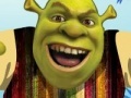 Gioco Shrek