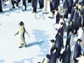 Gioco Happy Feet Find the Alphabets