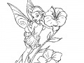 Gioco Coloring Tinker Bell -1