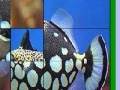 Gioco Fish Slide Puzzle 