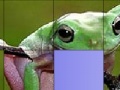 Gioco Frog Slide Puzzle