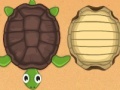 Gioco Guess the turtle