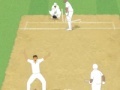 Gioco Cricket Umpire Decision