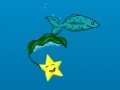 Gioco Star Fish