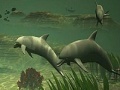 Gioco Big dolphins slide puzzle