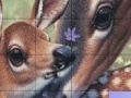 Gioco Deers and Lovely Day Slide Puzzle