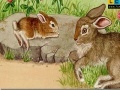 Gioco Rabbits at the farm puzzle 