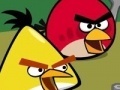 Gioco Memory - Angry Birds