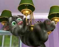Giochi Di Talking Tom Game Gameit