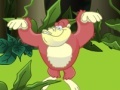 Gioco Monkey in the Forest