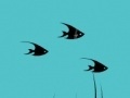Gioco Black fish 3