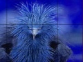 Gioco Timid blue bird slide puzzle