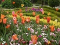 Gioco Flower Garden-Hidden Object