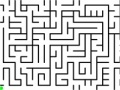 Gioco Daily Mouse Maze