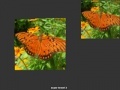 Gioco Orange Butterfly
