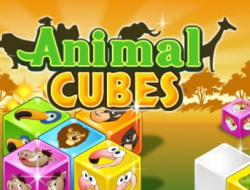 Gioco Animali cubi.