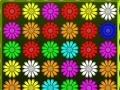 Gioco Flower Action Puzzle