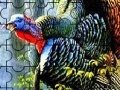 Gioco Colorful turkey in the forest puzzle