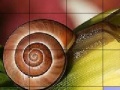 Gioco Snail and flower slide puzzle