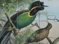 Gioco Birds of Paradise Jigsaw