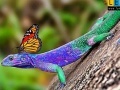 Gioco Lizard and butterflies puzzle