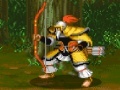 Gioco Dynasty Fighter
