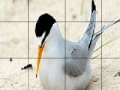 Gioco Orange beak bird slide puzzle