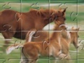 Gioco Horse Family Jigsaw Puzzle