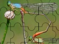 Gioco Wild Flies Puzzle