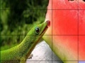 Gioco Hungry chameleons slide puzzle