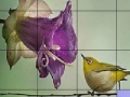 Gioco Bird on a wire slide puzzle