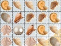 Gioco Sea Shells