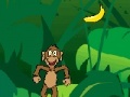 Gioco Happy Monkey