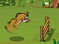Gioco Kaban Racetrack
