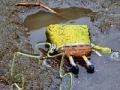 Gioco SpongeBob Found Dead Jigsaw Puzzle