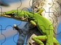 Gioco Chameleon On The Tree: Puzzle