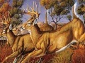Gioco Runner deers slide puzzle