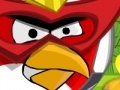 Gioco Angry Bird protect home