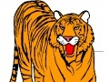 Gioco Tiger Coloring