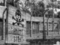 Gioco Auschwitz Birkenau