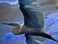 Gioco Flying Blue Stork: Puzzle