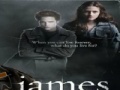 Gioco Twilight-James Jigsaw